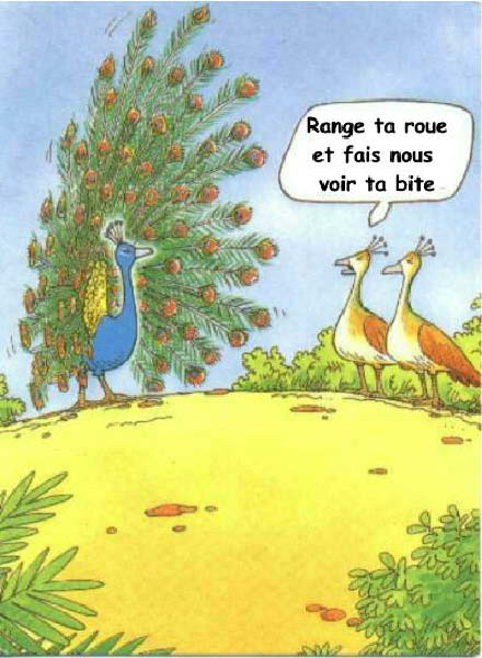 Range ta roue-humourenvrac